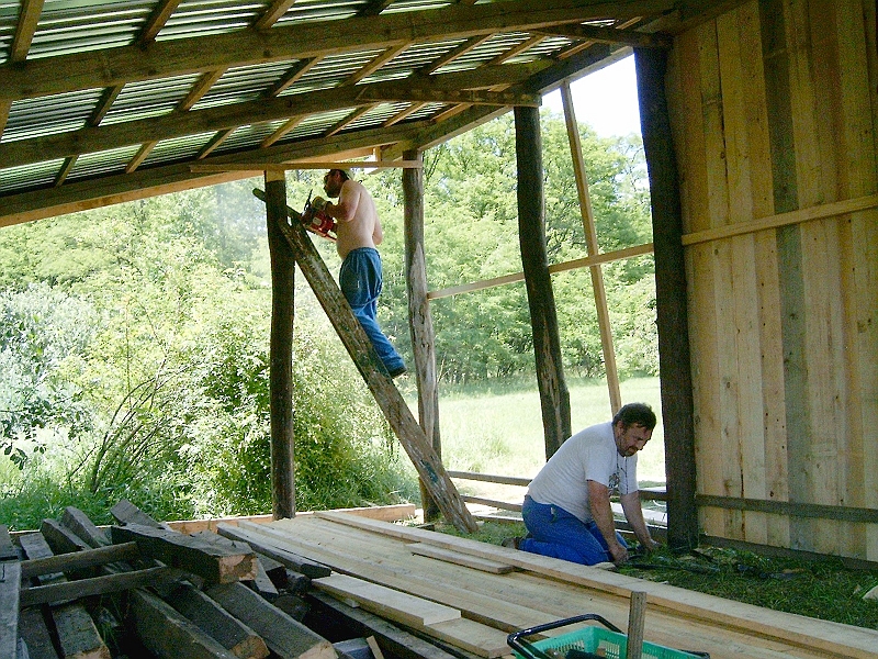 20100606 008.jpg